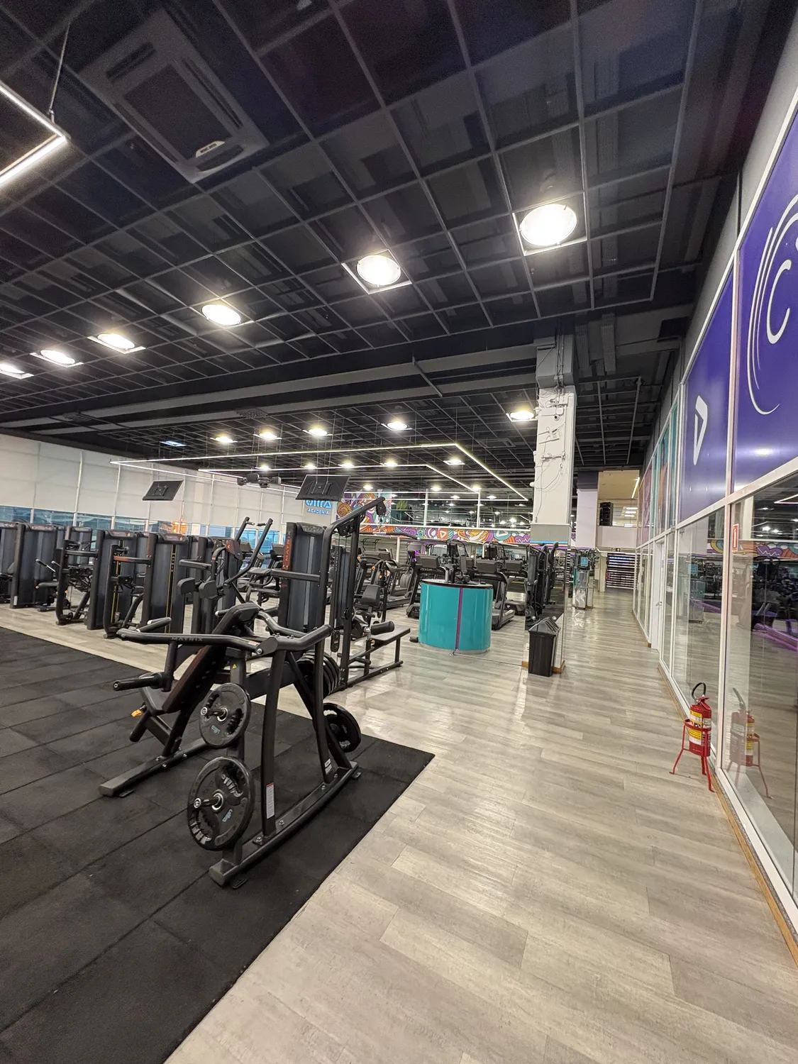 Reforma Ultra Academia: área de pesos com forro técnico e iluminação linear